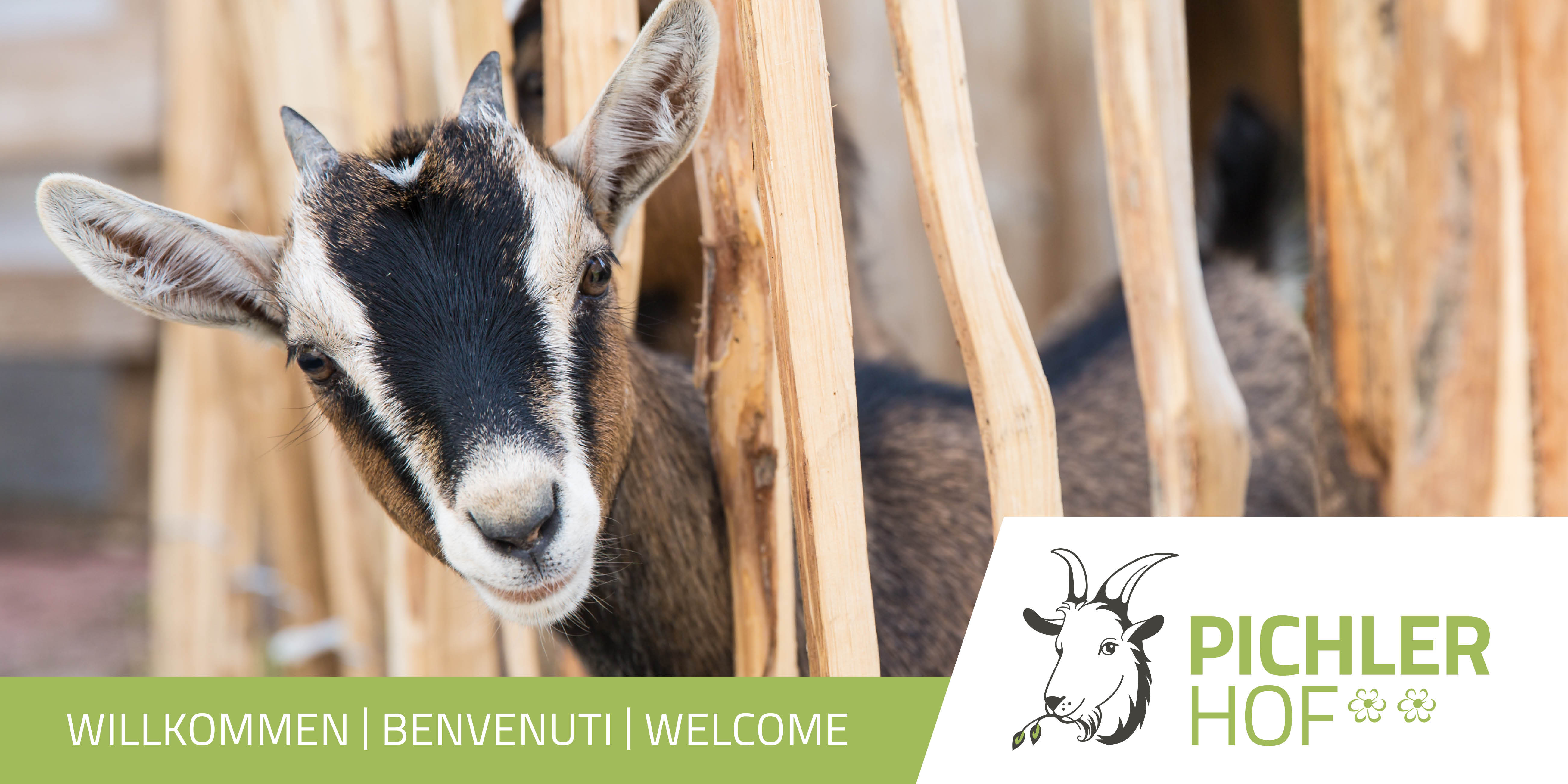 Willkommen Gsies Pustertal Urlaub auf dem Bauernhof Ferienwohungen
